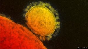 MERS CoV, Virus yang Bikin Heboh
