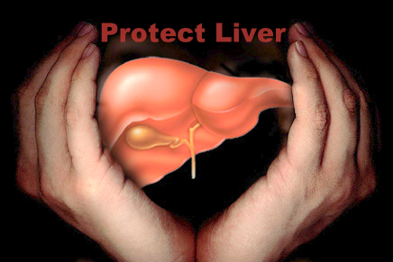Fakta Seputar Liver
