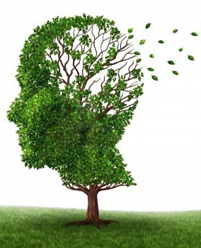 1.Pengaruh-Zinc-Terhadap-Alzheimer.2