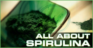 All About Spirulina  Best, Organic, Blue, Green, Algae, Gamma, linolenic  acid Bio chelated Natur