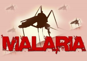 Awas-Penyakit-Malaria-