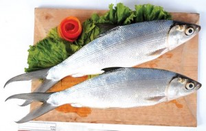 5 Manfaat Ikan Bagi Kesehatan
