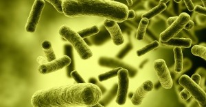 5-penyakit-oleh-bakteri-usus