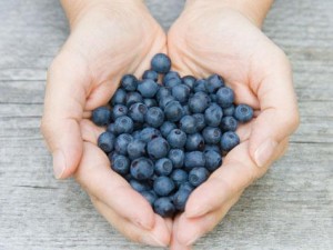 blueberries4