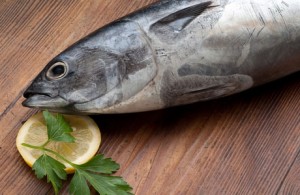 manfaat-ikan-tuna