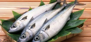 Minyak Ikan, Lemaknya Selalu Baik