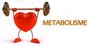 Metabolisme Meningkat Berat Badan Turun Cepat