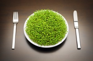 Berapa Banyak Chlorella  Yang Harus Anda Konsumsi Per Hari Untuk Detoksifikasi Logam Berat?