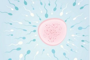 10 Hal yang Membunuh Sperma