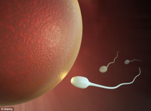 Radiasi Ponsel Mempengaruhi Kualitas Sperma
