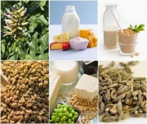 ba2456afee060d177425417ecc718b47_makanan-yang-mengandung-esterogen-alami