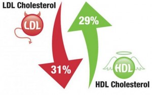 Strategi Harian Menjaga LDL