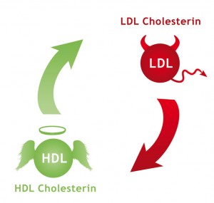 Strategi Harian Menjaga LDL