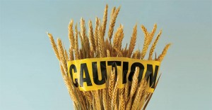Sensitif Terhadap Gluten? Hindari Makanan-Makanan Ini