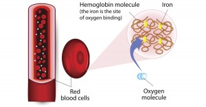 2015-10-15-these-5-weird-things-happen-to-your-body-when-you-suffer-from-iron-deficiency-fb