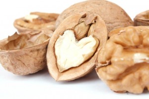 Kenari… Membantu Menurunkan Berat Badan dan Kolesterol?