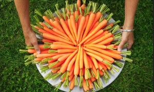 285E4BA300000578-0-image-a-15_1430900735623