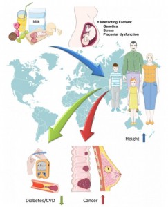 30D391ED00000578-3429114-A_new_study_has_found_taller_people_have_a_lower_risk_for_cardio-a-34_1454457157529