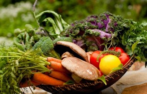 Pria Vegetarian Berisiko Kecil Menderita Kanker Prostat