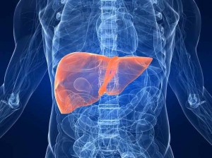 Liver-cancer