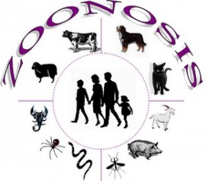 Zoonosis