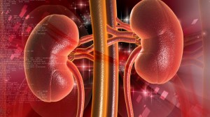 cara-menjaga-kesehatan-ginjal