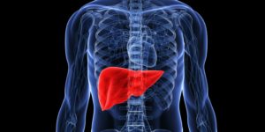 Apa saja yang menyebabkan kerusakan Liver?