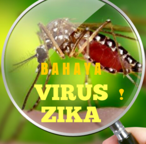 Zika…Infeksi Virus Yang Menyebabkan Kelainan Pada Bayi