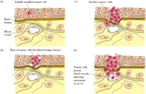 tumor-cell