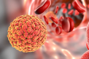 Kerusakan Otak Bayi Yang Disebabkan Oleh Infeksi Virus ZIka