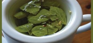 Herbal Yang Berfungsi Sebagai Diuretik