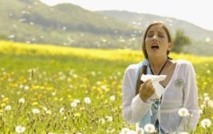 alergi-serbuk-sari-bunga-2