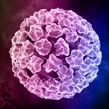 HPV dan Wanita