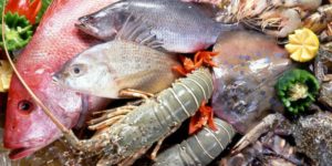 Merkuri pada makanan laut berhubungan dengan penyakit autoimun