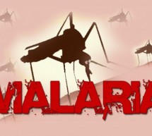 Parasit-Parasit Penyebab Malaria…